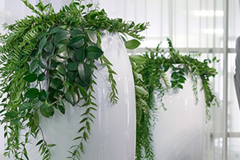 Plantenbak Plantenbakken